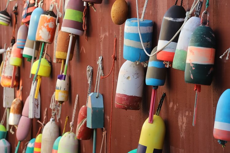 Explore The Upper Cape